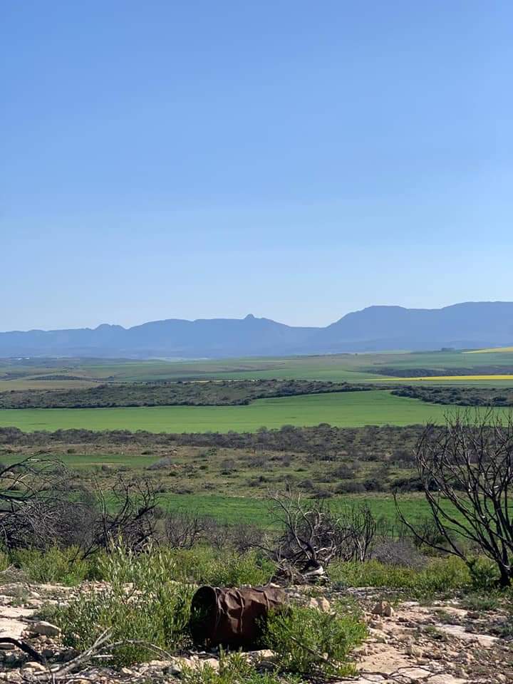  Bedroom Property for Sale in Riversdale Rural Western Cape